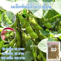 ราคา เมล็ดพันธุ์ ถั่วแระญี่ปุ่น หอมกลิ่นใบเตย เมล็ดพันธุ์ถั่วเเระญี่ปุ่น 130 เมล็ด 10 แถม 1 คละได้ (10731146724)
