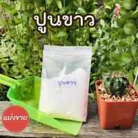 ราคา ปูนขาว กันเชื้อรา ปรับสภาพดินและฆ่าเชื้อในดิน แบ่งขาย 100 กรัม (3643326183)
