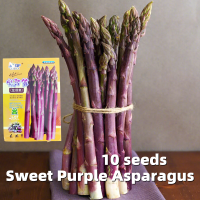 ราคา ปลูกได้ทั้งปี เมล็ดหน่อไม้ฝรั่ง High Yield 10 Seeds Sweet Green White Purple Organic Asparagus Seeds for Planting Bonsai Vegetable Seeds Vegetable Plants หน่อไม้ฝรั่ง หน่อไม้ฝรั่งม่วง หน่อไม้ฝรั่งขาว 