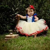 ราคา hot sale C03 Princess Girl Baby Girl Tutu Birthday Dress Cosplay Children Kids Summer Clothes (20035757441)