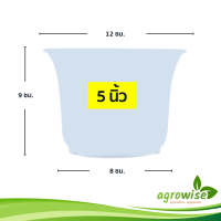 ราคา กะถางต้นไม้ กระถาง กระถางต้นไม้พลาสติก 5 นิ้ว กระถางปากแตร สีใส ปากแตร 10 ใบ (18670228323)