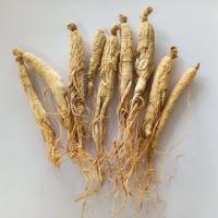 ราคา โสมแห้ง โสมจีน สำหรับต้มน้ำแกง ตุ๋นยาจีน บดผสมยา (21049106073)