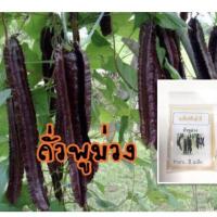 ราคา เมล็ดถั่วพูม่วง ถั่วพู ซื้อ 10 แถม 1 คละอย่างได้ (6110714818)