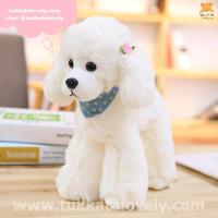 ราคา ตุ๊กตาสุนัขพุดเดิ้ล สีขาว 30cm (8449762602)