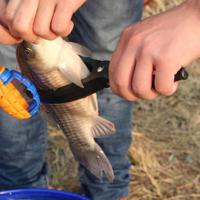 ราคา คีมตกปลาตกปลาGripperเครื่องมือปลาLipผู้ถือJawปลาสำหรับน้ำจืดน้ำเค็ม (20766338799)