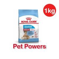 ราคา Royal canin Medium Starter 1kg ลูกสุนัขพันธุ์กลาง (12792343705)