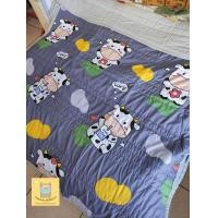 ราคา รุ่นใหม่ นุ่มมาก ผ้านวมขนเป็ด ขนาด 6 ฟุต เเพคเกจสวยมาก (6732790367)