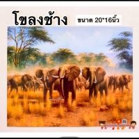 ราคา รูปภาพมงคล ม้าสีหมอก ม้า8เซียน ม้าสีขาว ขนาด16x20นิ้ว 40 6x50 8 ซม แก้เคล็ด เสริมฮวงจุ้ย มงคล เสริมดวง มังกร เรือสำเภา (14458161742)