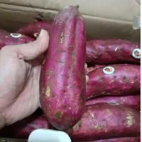 ราคา มันหวานญี่ปุ่น มันหวาน Japaness sweet potato ไซค์ L บรรจุกล่องขนาด 5 กิโลกรัม มันหวาน สายพันธ์ญี่ปุ่นนำเข้าจากเวียดนาม (7416162558)