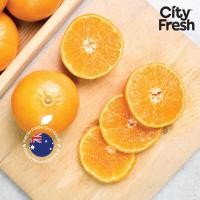 ราคา CityFresh ส้ม แมนดาริน Honey Murcott จากออสเตรเลีย ผลไม้นำเข้า (20423307534)