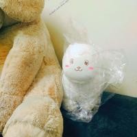 ราคา ตุ๊กตาหมอนผ้าห่ม ตัวใหญ่ หมอนนุ่มนิ่มผ้าห่มอุ่น ของขวัญของฝาก กดโค๊ดส่งฟรีได้เลยค่ะ (21096678030)