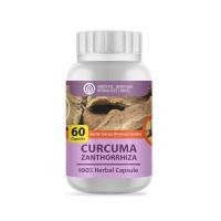 ราคา ว่านชักมดลูก Curcuma Zanthorrhiza Herb 100 เกรดพรีเมี่ยม แคปซูล 60 เม็ด (19820895174)