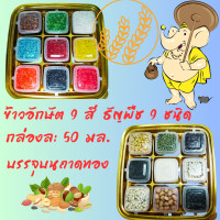 ราคา ข้าวสารมงคล 9 สี ธัญพืช 9 ชนิด ไหว้เทพได้ทุกองค์ (19449997799)