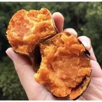 ราคา มันส้มมันหวานญี่ปุ่น ส้มโอกินาว่า คัดทุกหัว4กิโลกรัม (9719021282)