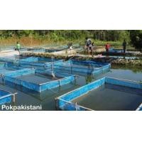 ราคา กระชังเลี้ยงปลากบ สินค้าคุณภาพ พร้อมใช้งาน (17178895947)