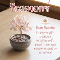ราคา ต้นไม้ หินมงคล เสริม ฮวงจุ้ย โชคลาภ ร่ำรวย ความสูง 11 CM ของมงคล ของขวัญ ต้นไม้มงคล อเมทิสต์ โรสควอตซ์ ต้นไม้ปลอม (20942835517)