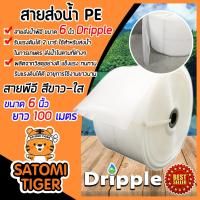ราคา สายส่งน้ำ PE Dripple สีขาวใส ขนาด 6 นิ้ว แบ่งขายยาว 1 100 เมตร สายลำเรียงน้ำ สายพีอีส่งน้ำ สายพลาสติกส่งน้ำ สายส่งน้ำ (18834044367)