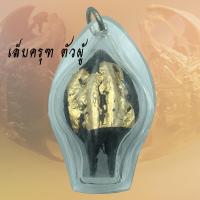 ราคา พญาเล็บครุฑ เล็บครุฑ มหาอำนาจ ตัวผู้ ตัวเมีย ป้องกันภัย กระจับเงิน กระจับทอง (9933180154)