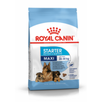 ราคา Royal canin Maxi Starter 4 kg อาหารแม่สุนัข และลูกสุนัขพันธุ์ใหญ่ ชนิดเม็ด MAXI STARTER (15341165241)