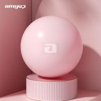 ราคา amyup ลูกบอลโยคะ บอลโยคะ บอลกายภาพบำบัด ลูกบอลออกกำลังกาย 25 65 เซนติเมตร Mini PILATES Ball 25cm 65cm (17820485618)