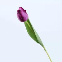 ราคา callingbrown พร้อมส่งจ้า ทิวลิป ดอกทิวลิป ดอกทิวลิปปลอม ดอกไม้ปลอม ดอกไม้ประดิษฐ์ แต่งห้อง ดอกไม้ พร๊อบถ่ายรูป ดอกไม้ประดิษฐ์ (5507750317)