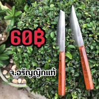 ราคา มีดสแตนเลสจิ๋ว ใบมีดยาว 4 นิ้ว มีดอรัญญิก จ อรัญญิกแท้ (4263244745)