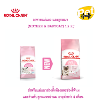 ราคา Royal canin Mother Baby Cat อาหารสำหรับสูตรลูกแมว 1 2 kg (21008095310)