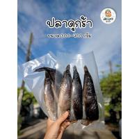 ราคา ปลาดุกร้า ปลาดุตากแห้ง ปลาดุก แพ็ค 3 4ตัว ขนาด 300 400กรัม (10095317274)