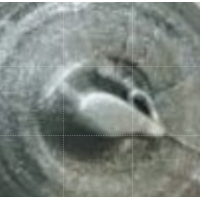 ราคา PARASIL กาวซิลิโคนซีลแลนท์ พาราซิล 929 อินทีเรีย เอ็กทีเรีย ซิลิโคน ซีลแลนด์ 300กรัม ราคา หลอด (9912782385)