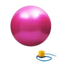 ราคา ลูกบอลโยคะ ขนาด 65 ซม พร้อมที่สูบลม สีน้ำเงิน (118558693)