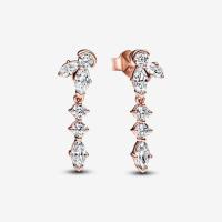 ราคา 14k Rose Gold plated Sparkling Herbarium Cluster Drop Earrings 925 Sterling Silver Crystal Dangle Earring For Women (20976332389)