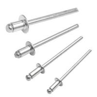 ราคา ชุดตะปูยิงเหล็ก 2 4 3 2 4 0 4 8 มม 100 ชิ้น Blinde Rivets 2 4 3 2 4 0 4 8mm 100Pcs Set (8146272726)