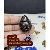 ราคา ปลัดขิกปุ้มปุ้ย ปลัดขิก ปุ้มปุ้ย สเน่ห์ เมตตา ค้าขาย ไม้ดำ ไม้งิ้วดำ ไม้พญางิ้วดำ หายาก หลวงพ่อฟัก วัดนิคมประชาสรรค์ ลงจารย์ (20432534158)