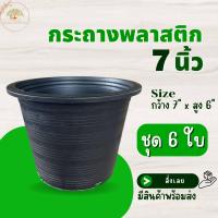 ราคา กระถางสีดำ ขนาด 7 นิ้ว ชุด 6 ใบ กระถางต้นไม้ กระถางพลาสติก กระถางปลูกไม้ (15958983416)