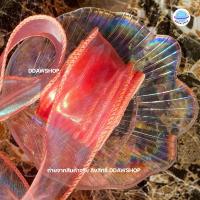 ราคา ริบบิ้นผูกผม 1 ม้วน ยาว 9หลา ริบบิ้นผูกผมผ้าโปร่ง โบว์ผูกผม ที่คาดผม (19014935822)