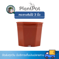 ราคา กระถางต้นไม้พลาสติก กระถางต้นไม้ กระถางเหลี่ยม กระถาง 8 เหลี่ยม 3 นิ้ว สีอิฐ กระบองเพชร 50 ใบ (18283454584)
