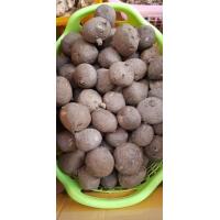 ราคา บัวบกโขด บัวบก ต้นไม้มาแรง ฟอร์มสวย น่ารัก ไม้โขด Stephania erecta Craib ขนาดเท่าไข่เป็ด (3109410823)