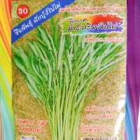 ราคา เมล็ดพันธุ์ ผักบุ้งใบไผ่ 15 กรัม ตรา ม้ารุ้ง ผักบุ้ง ผักบุ้งจีน เมล็ดผัก ผักสวนครัว (20922240922)
