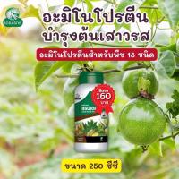 ราคา เสาวรส โตไว ใบเขียว ผลใหญ่ แข็งแรง ผลผลิตดี อะมิโนโปรตีนจำเป็นสำหรับพืช 18 ชนิด อะมิโนแรปเตอร์ โดย ไดโนเร็กซ์ (18540145120)