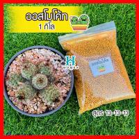 ราคา ออสโมโค้ท สูตร 13 13 13 ปุ๋ยละลายช้า ปุ๋ยบำรุงต้น ปุ๋ยสูตรเสมอ ปุ๋ยออสโมโค้ท ขนาด 1 กิโลกรัม homes (9031749036)