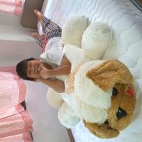 ราคา ตุ๊กตาหมาหมอบ ขนนุ่ม น่ากอด 3 แบบ 3 ขนาด มี M L XL ให้เลือก (12582826116)