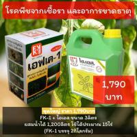 ราคา ยาแก้โรคกุหลาบต่างๆ ที่มีสาเหตุจากเชื้อรา และอาการขาดธาตุ โปรดอ่านวิธีใช้โดยละเอียด (11702639453)