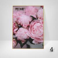 ราคา ดอกโบตั๋นสีชมพูภาพวาดโปสเตอร์ตกแต่งบ้านนอร์ดิกน้ำมันภาพวาดโปสเตอร์และพิมพ์ห้องนั่งเล่นตกแต่งบ้านผ้าใบศิลปะผนัง (12594494318)