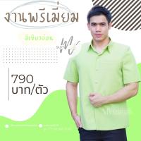 ราคา เสื้อผ้าไทยชาย เสื้อซาฟารีชาย เสื้อผ้าไหมชาย คอปกเชิ้ต สีเขียวอ่อน มีของพร้อมส่ง ใส่ทำงาน งานแต่ง งานบวช รับประกัน สีไม่ตก MVsuitsil (19234273496)