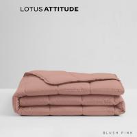 ราคา LOTUS ATTITUDE ปลอกผ้านวม รุ่น Basic สัมผัสนุ่มลื่น ความละเอียด 490 เส้นด้าย ส่งฟรี (20266967778)
