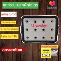 ราคา ชุดปลูกผักสลัด ขนาด12รู ชุดทดลองปลูกผักไฮโดรโปนิกส์ ชุดทดลองปลูกผักไร้ดิน ชุดทดลองปลูกผักน้ำนิ่ง (15161625315)