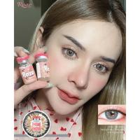 ราคา คอนแทคเลนส์ Roze Hydrogel รุ่น Look Fresh Gray สีเทา (20069124859)