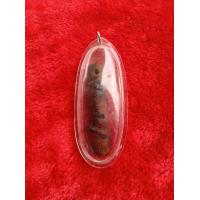 ราคา ปลัดขิกลึง ช้างประกันแท้ ส่องไฟทะลุ คละลายให้ (19797427017)