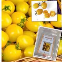 ราคา เมล็ดมะเขือเทศเชอรี่สีเหลือง มะเขือเทศ ซื้อ 10 แถม 1 คละอย่างได้ (11097063607)