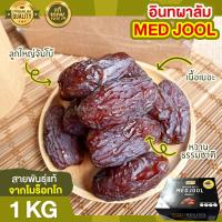 ราคา อินทผาลัม 1kg อินทผลัม MED JOOL ลูกใหญ่ เกรดพรีเมียม ราชาอินทผาลัม หวานธรรมชาติ อินทผาลัมพร้อมทาน (7159956455)